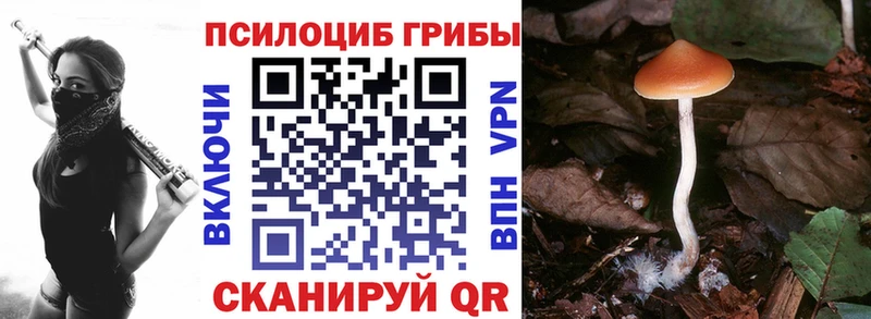 Купить где  Салават  Галлюциногенные грибы мицелий 